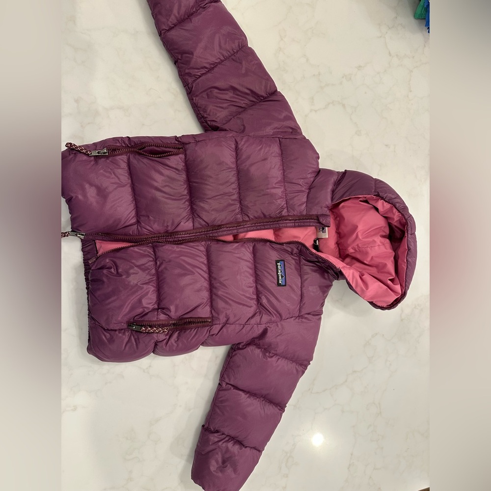 Patagonia Toddler Hi-Loft Down Sweater™ Hoody (4T)